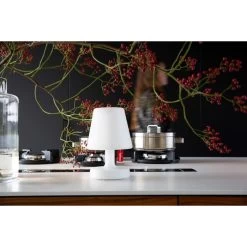 Lampe Fatboy Edison The Petit -Faites partie du mobilier de jardin. 100686 lampe jardin fatboy edison the petit ambiance 2