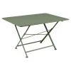 Table De Jardin 6 Personnes FERMOB Cargo 128 X 90 Cm - Cactus -Faites partie du mobilier de jardin. cargo 128x90 cactus 1