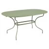 Table De Jardin Ovale 6 Personnes FERMOB Opéra + 160 X 90 Cm - Cactus -Faites partie du mobilier de jardin. opera premium 160x90 cactus 1